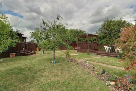 Garden at Back