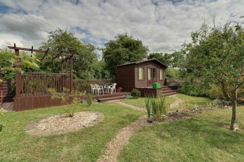 Garden at Back