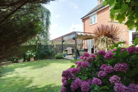 Back Garden