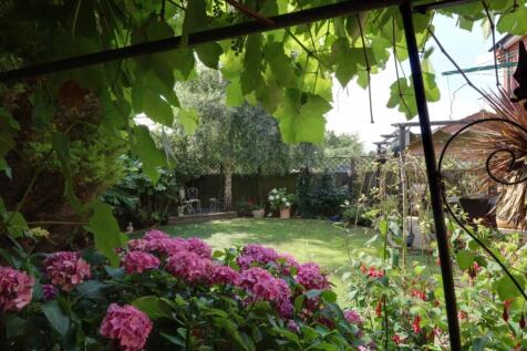Back Garden