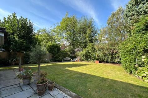 Back Garden