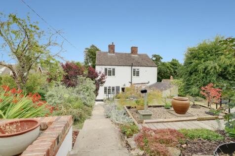 Back Garden