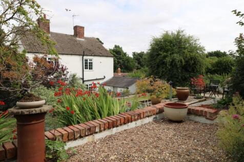 Back Garden
