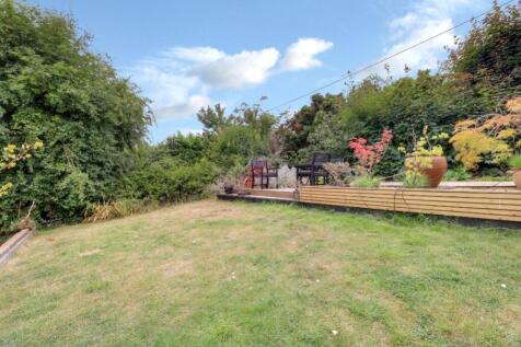 Back Garden