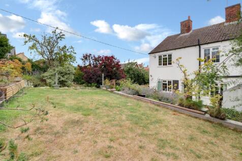 Back Garden