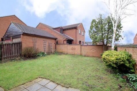 Back Garden