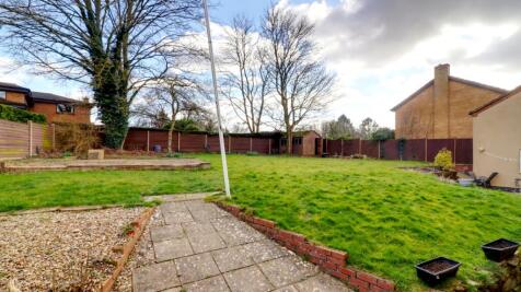 Garden 1