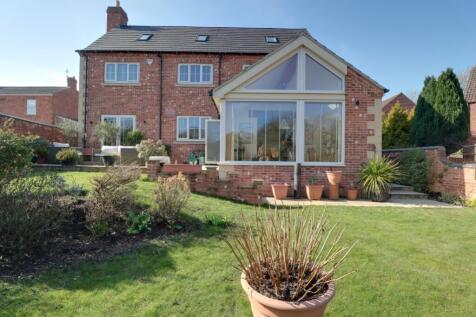 Back Garden