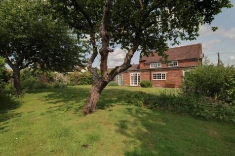 Back Garden