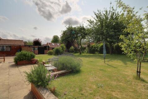 Back Garden