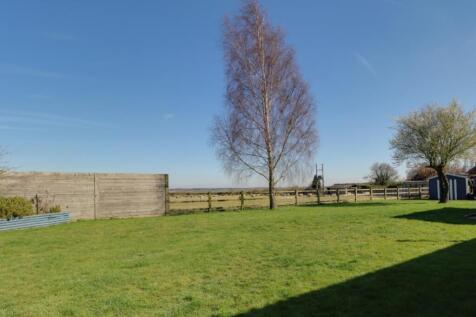Back Garden
