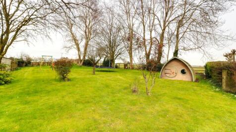 3. Garden 5