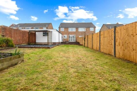 Rear garden 3