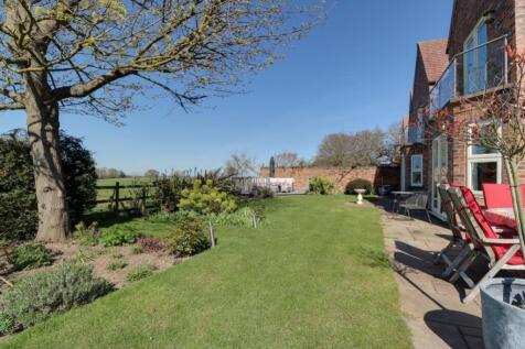Back Garden