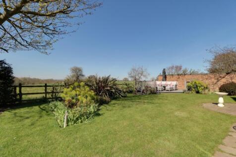 Back Garden