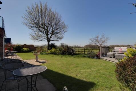 Back Garden