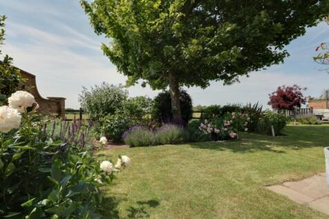 Back Garden