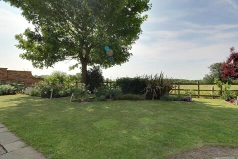 Back Garden