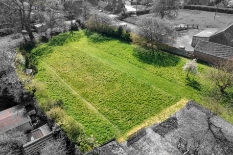 Plot Size