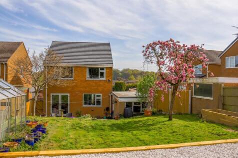 Rear of Property-2
