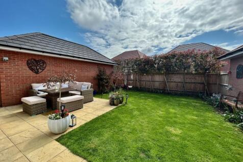 South Facing Back Garden