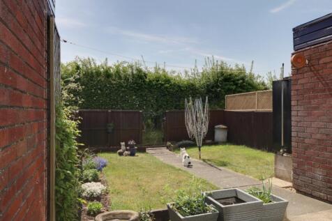 Back Garden
