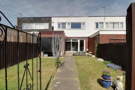 Back Garden