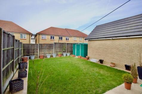 Back garden
