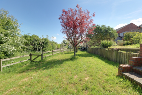 Back Garden