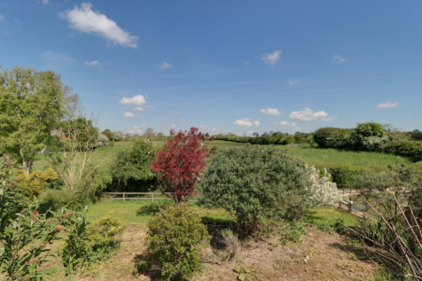 Back Garden