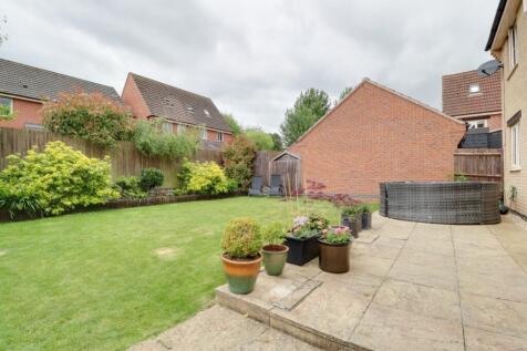 Back Garden