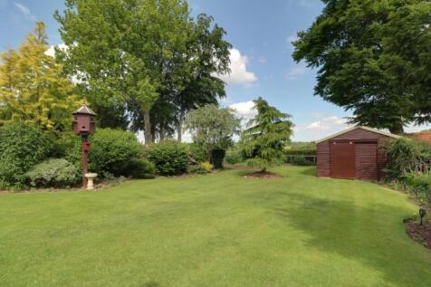 Back Garden