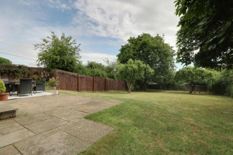 Back Garden