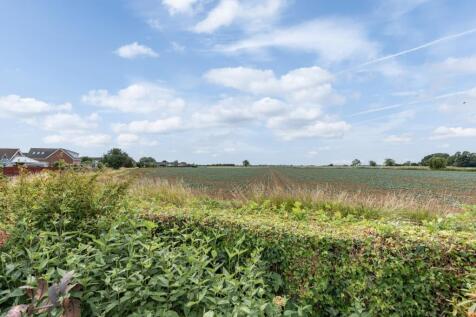 Field Views
