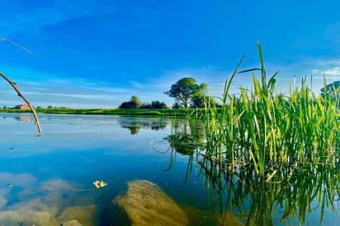 Witham Way Country Park