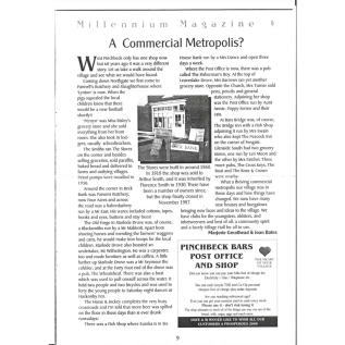 ashview newspaper
