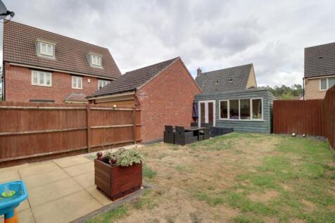 Back Garden