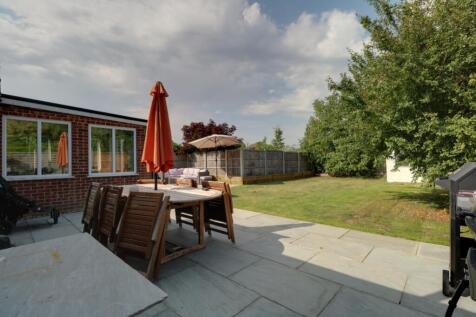Back Garden