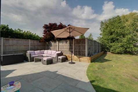 Back Garden