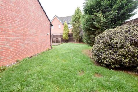 Back garden