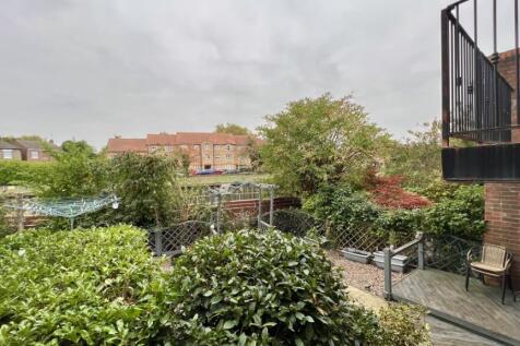 View from Rear of Property