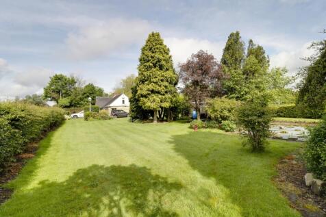 Garden 1