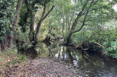River b
