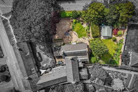 Plot View