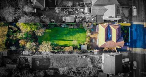 Plot View