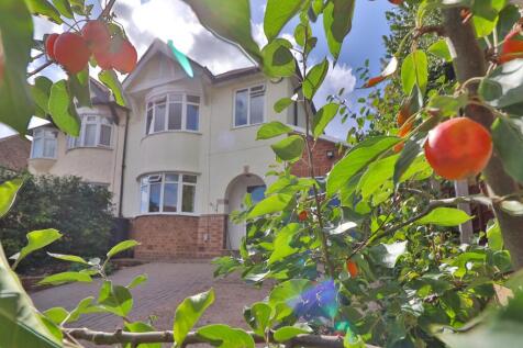 front drive from fruit tree
