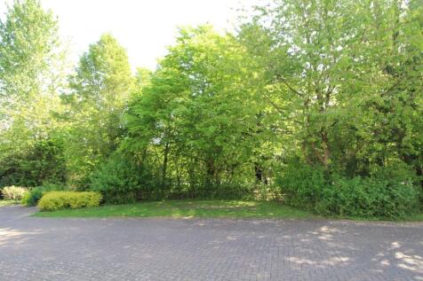 Front area view