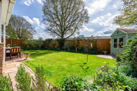 South-Facing Garden