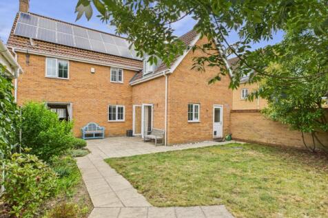 Garden- Mark Stephens EweMove Newmarket and Soham 