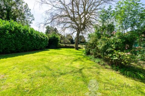 South-Facing Garden